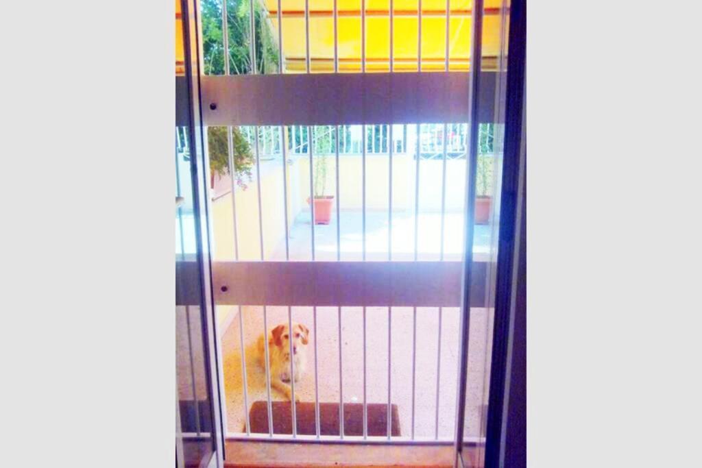 Casa vacanze Dolci Sogni Romani Senza Scale O Barriere *